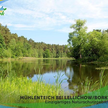 Jagd-Angler-Holzhaus-Im-Wald-Am-See Villa Kyritz Exteriör bild