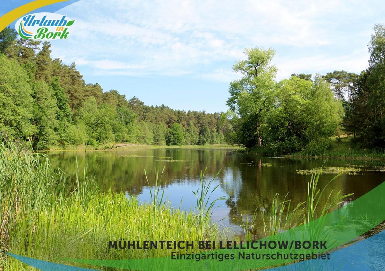 Jagd-Angler-Holzhaus-Im-Wald-Am-See Villa Kyritz Exteriör bild
